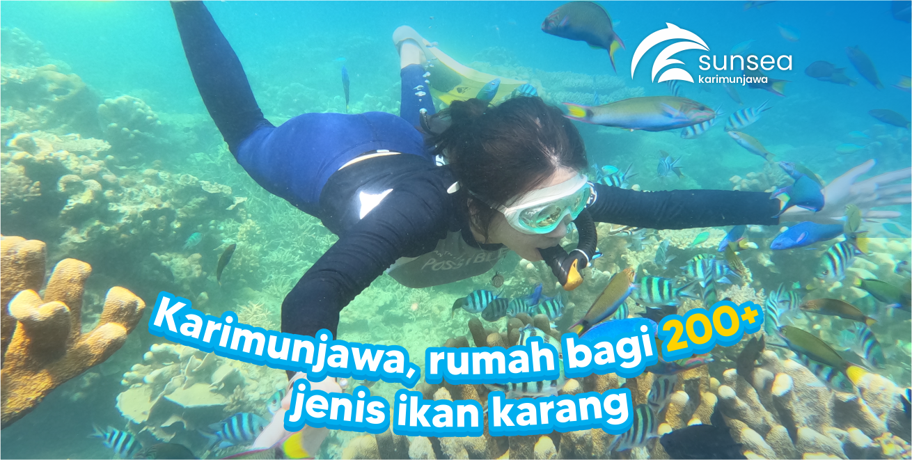 Foto Galeri